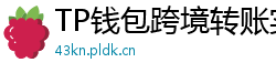 TP钱包跨境转账实战｜3分钟完成USDT国际汇款